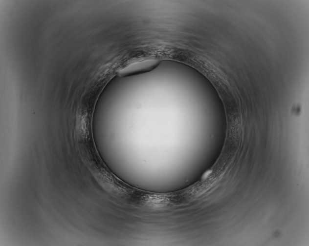 X0000101190088200806271326