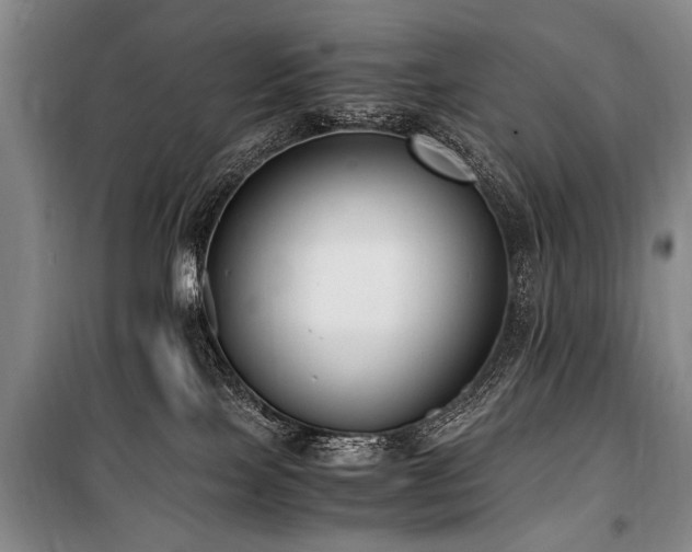 X0000101190089200806271326
