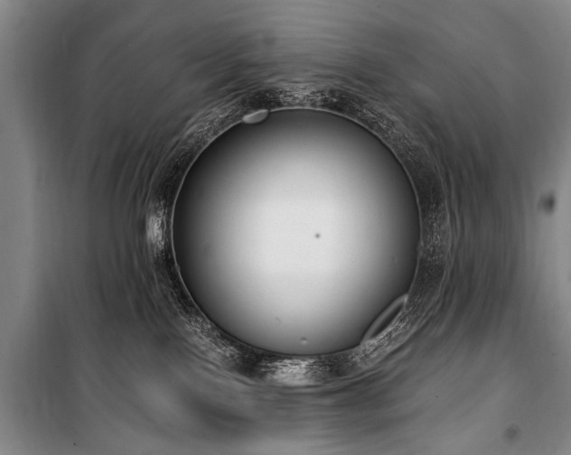 X0000101190090200806271326