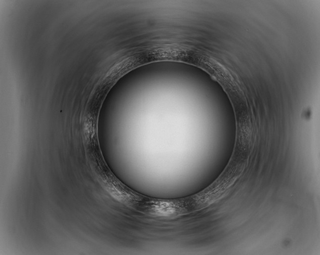 X0000101190091200806271326