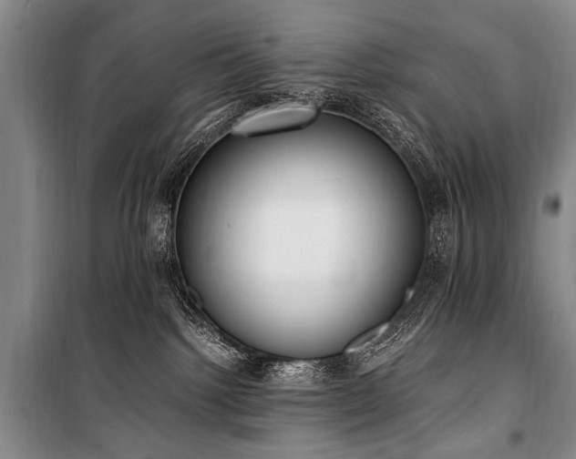 X0000101190092200806271326