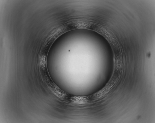 X0000101190093200806271326