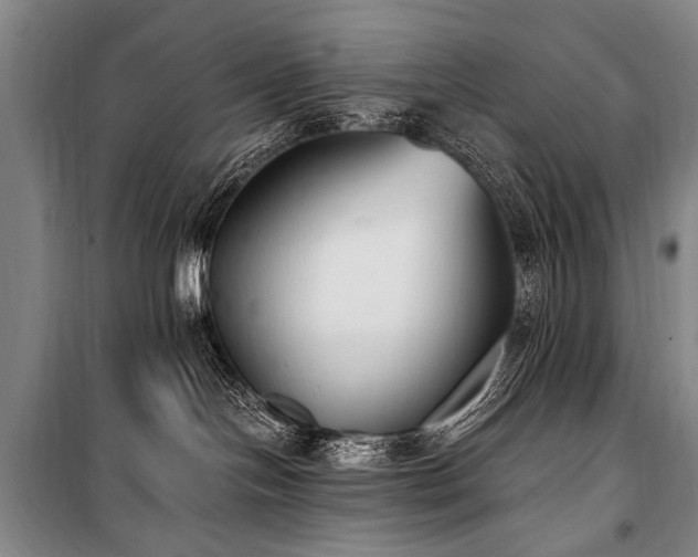 X0000101190094200806271326