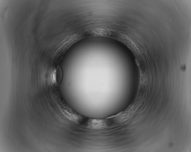 X0000101190095200806271326