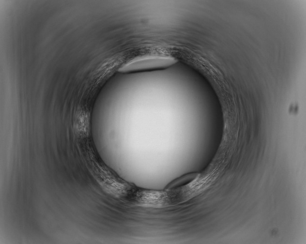 X0000101190096200806271326
