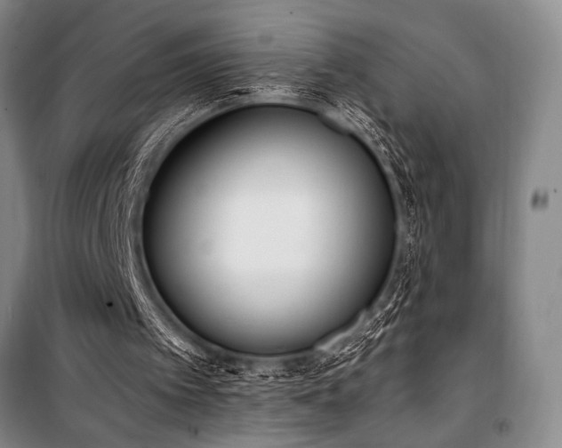 X0000101190097200806271326