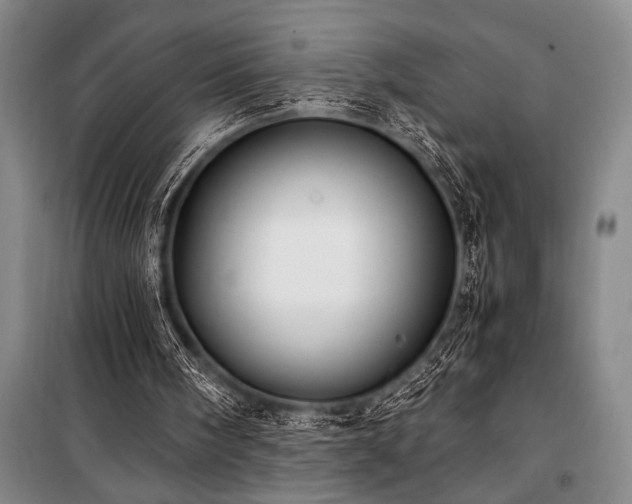 X0000101190098200806271326
