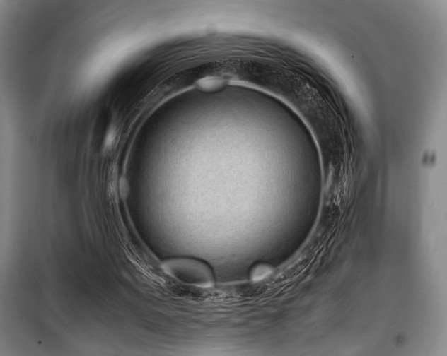 X0000101190099200806271326
