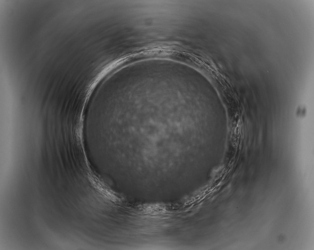 X0000101190100200806271326
