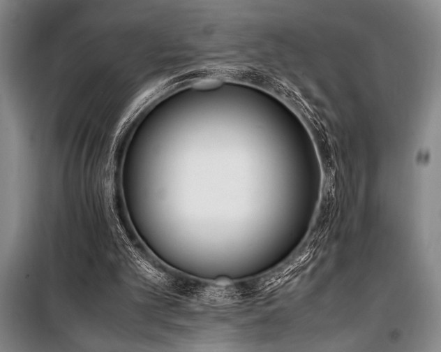 X0000101190101200806271326