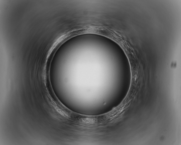 X0000101190102200806271326