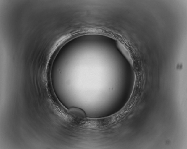 X0000101190104200806271326