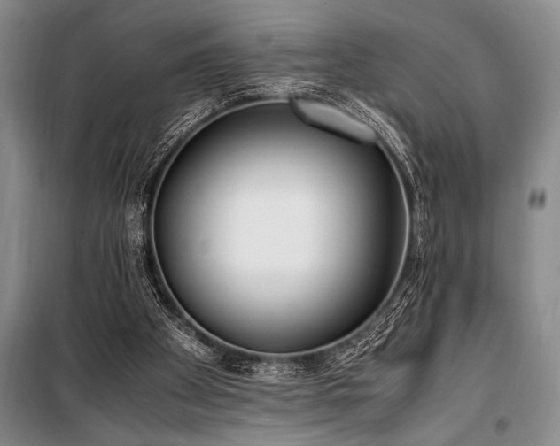 X0000101190105200806271326