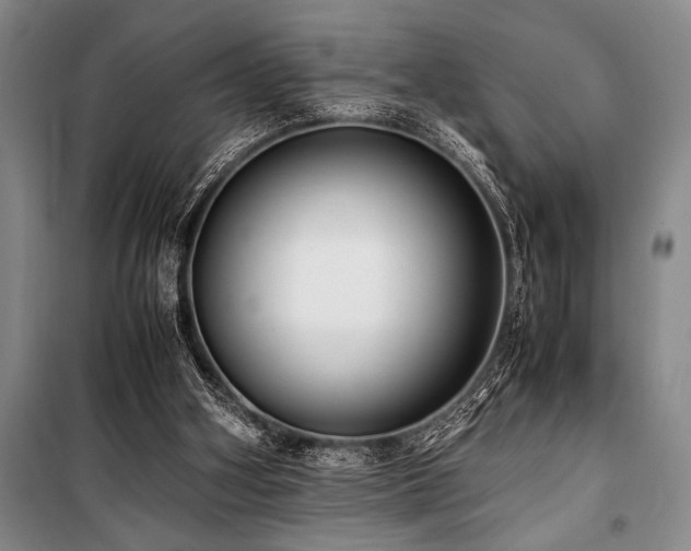 X0000101190106200806271326