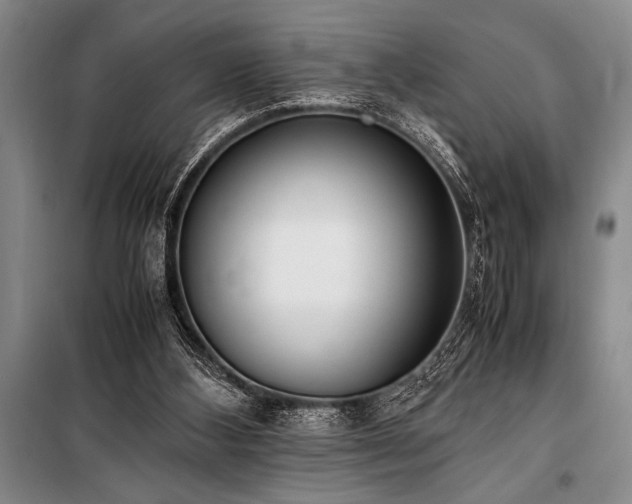 X0000101190108200806271326