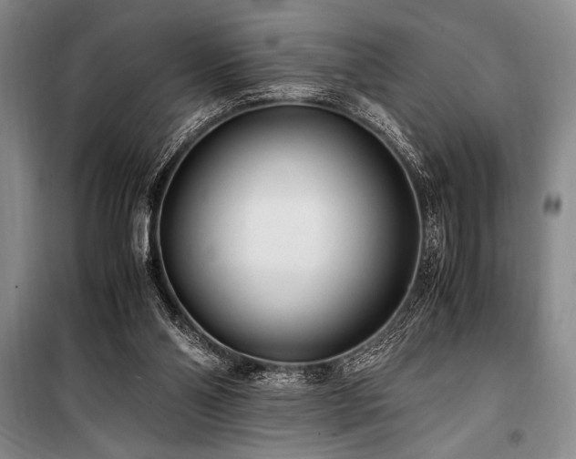 X0000101190110200806271326
