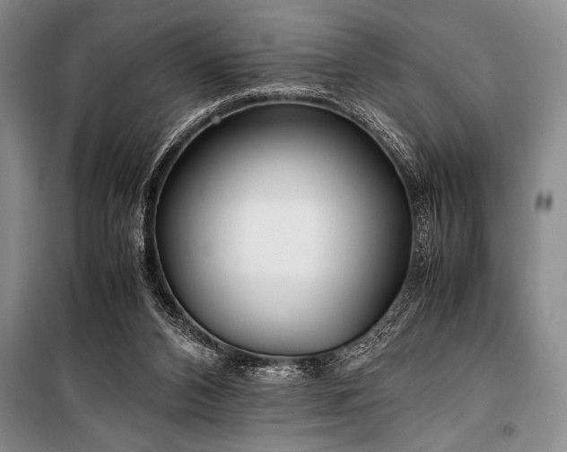 X0000101190112200806271325