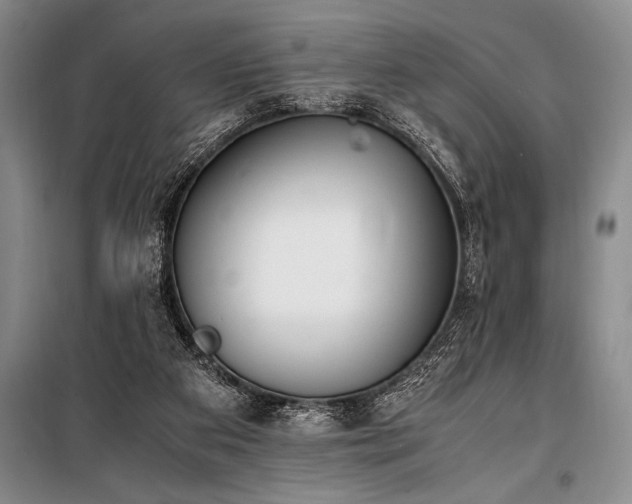 X0000101190113200806271325