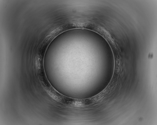 X0000101190114200806271325