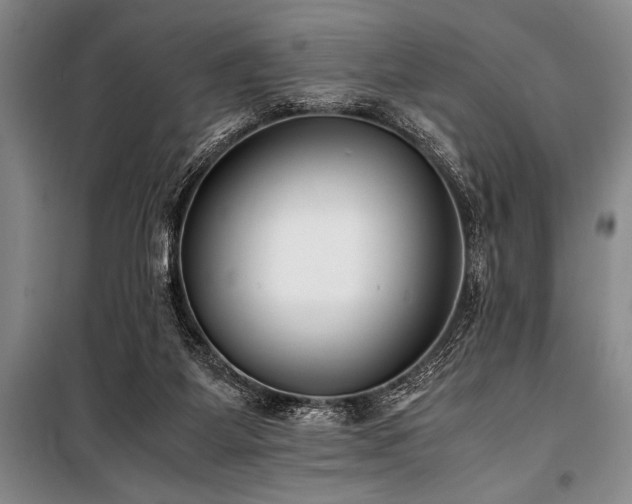 X0000101190115200806271325
