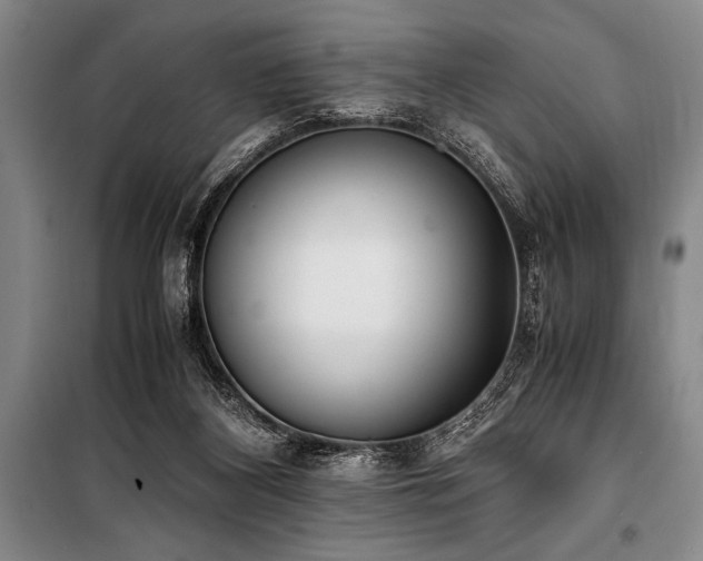 X0000101190116200806271325