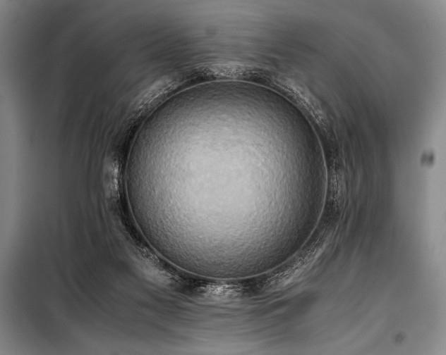 X0000101190117200806271325