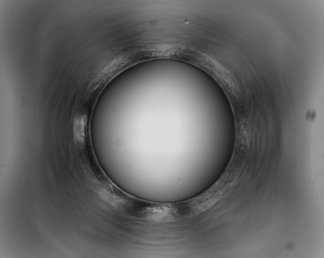 X0000101190118200806271325