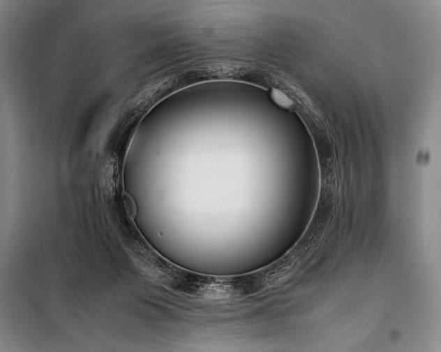 X0000101190119200806271325