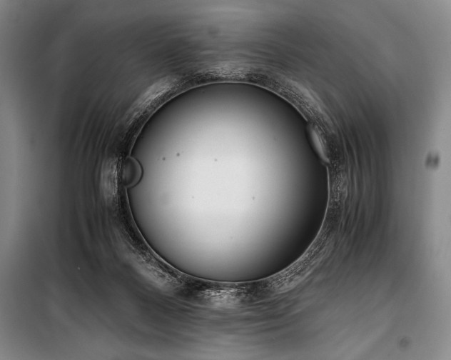 X0000101190120200806271325