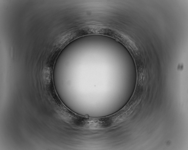 X0000101190121200806271325