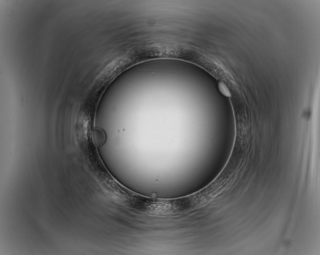 X0000101190123200806271325