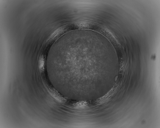 X0000101190124200806271325