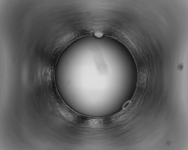 X0000101190126200806271325
