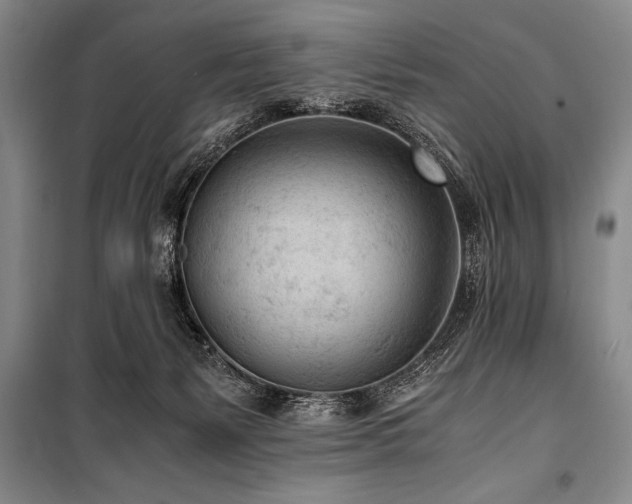 X0000101190127200806271325