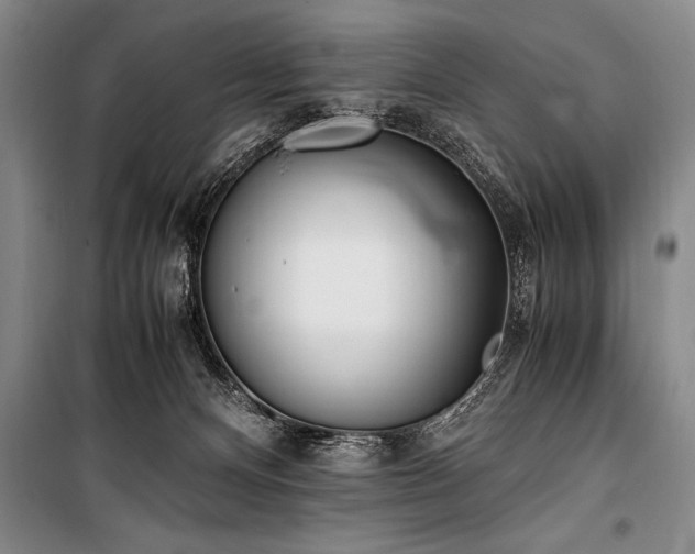 X0000101190128200806271325