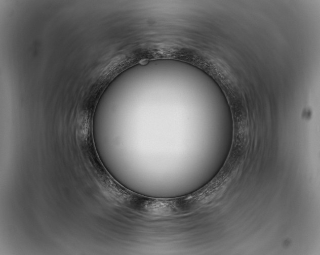 X0000101190129200806271325