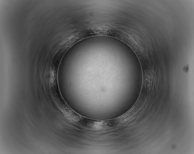 X0000101190130200806271325