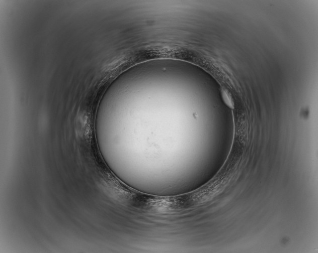 X0000101190131200806271325