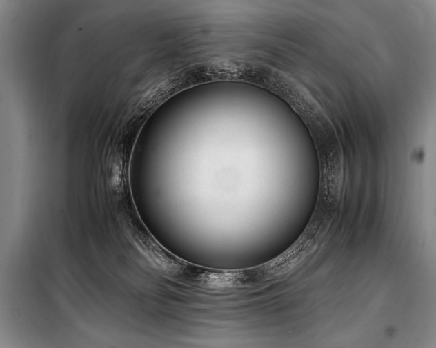 X0000101190134200806271325
