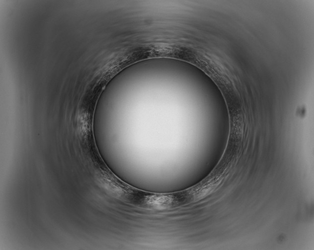 X0000101190135200806271325