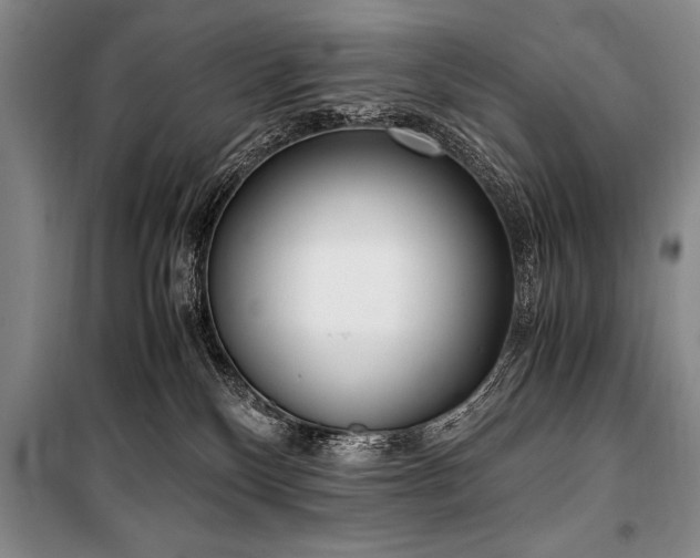 X0000101190136200806271325