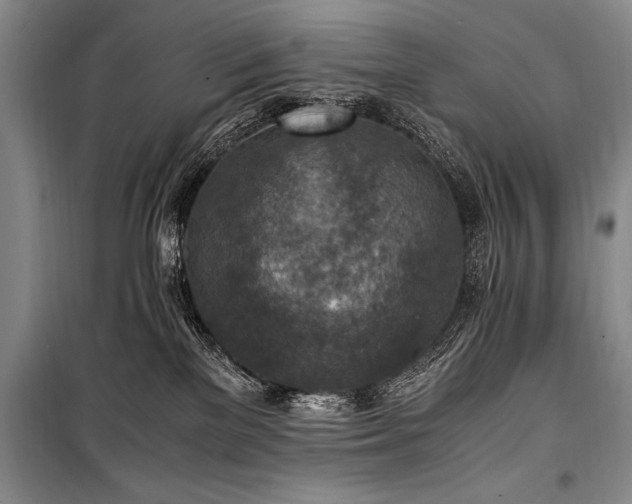 X0000101190137200806271325