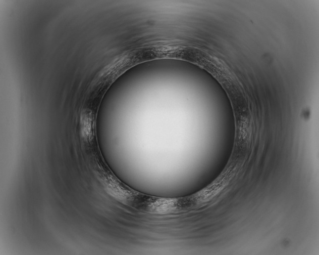 X0000101190138200806271325