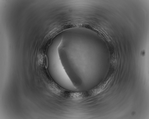 X0000101190139200806271325