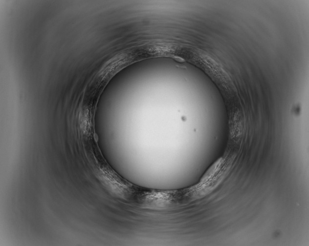 X0000101190140200806271325