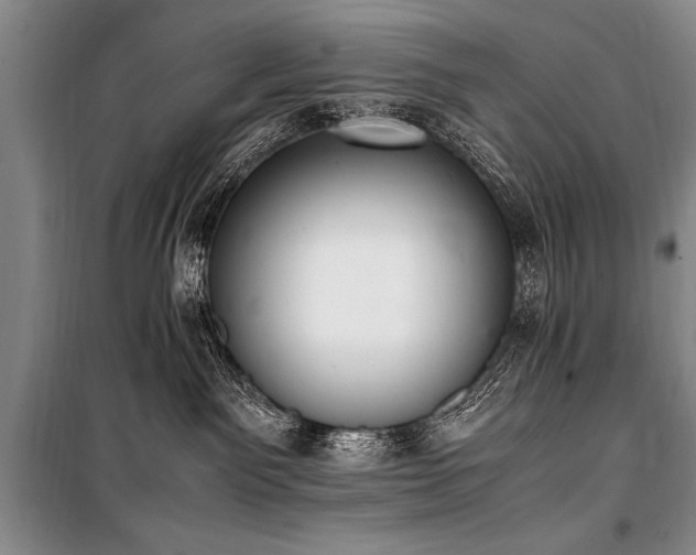 X0000101190141200806271325