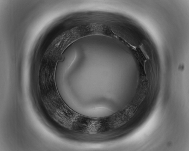X0000101190143200806271325