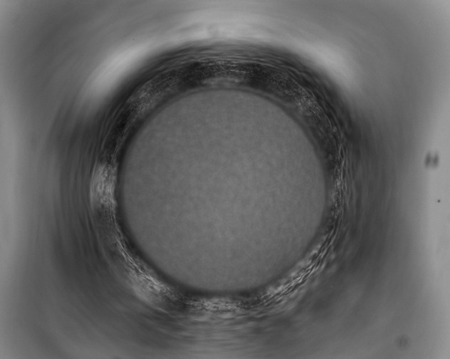 X0000101190146200806271324