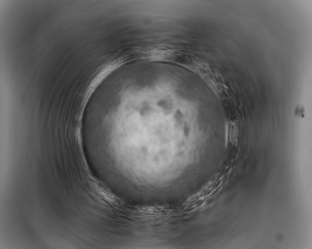 X0000101190147200806271324