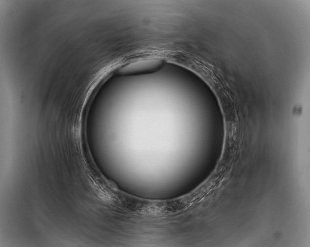 X0000101190148200806271324
